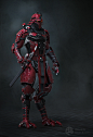 kyle-brown-daito-revised-helmet-8-lauren-in-a-samurai-suit