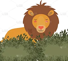 狮子,景象,热带雨林,野生植物,可爱的,清新,野生动物,环境,公园,动物