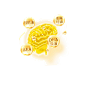 大脑