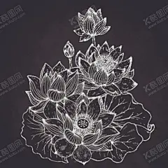 荷花 【酷图网】佩丝利,烫画,直喷,数码印花,无缝图案,服装印花,服装花型,服装设计,面料印花,男装花,女装花,童装花,热转印,爆款花型,英文字母,爆款,壁纸,包装背景,四方连续,腰果,鹤,鸟,抽象花,欧式花纹,老热带植物,菊花,英文,呢料,丝绒,绒布印花,民族风,民族花纹,抽象几何,荷花,线稿荷花