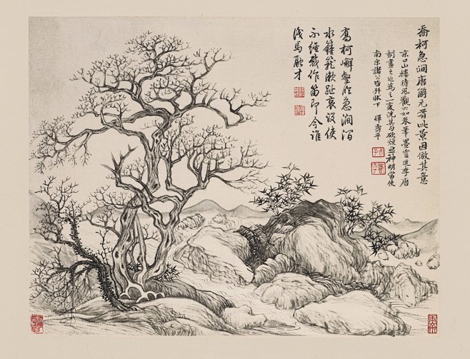 古画-花卉参考