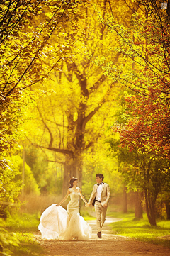 湖畔阴影采集到婚礼 · 婚纱 · 摄影