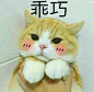 可爱的表情包呐-兴趣部落