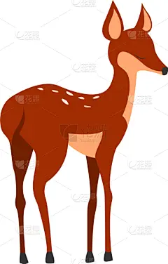 小鹿,白色背景,野生动物,肖像,壁纸,哺乳纲,小的,动物,剪影,驯鹿