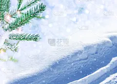 雪,寒冷,一月,霜,壁纸,云杉,杉树,松树,背景,天空