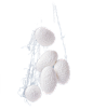 蚕丝png