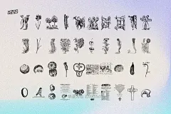 480幅文艺复兴历史人物动物植物手绘线稿版画海报ai矢量设计素材 Prodigiorum Naturae – Illustrations插图14