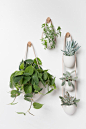 Spora — Light + Ladder : Large Ceramic Flat Back Planter