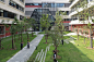 苏州科技城天佑实验小学及幼儿园 / BAU : 比起莱维顿更像纳沃纳广场