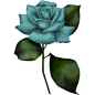 Monro_Diz — «SD DB ROSE 4.png»