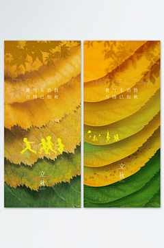 ZTU蜀大侠z采集到立秋
