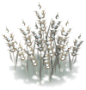 701900