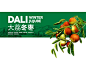 冬枣包装设计 |西安本易品牌机构| - 视觉中国设计师社区