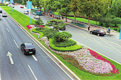 志道景观采集到道路景观