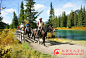 加拿大阿尔伯塔荒地骑马野炊之旅-旅游风景