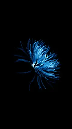 #手机壁纸##手机背景#