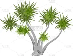 鸡尾酒,棕榈树,公园,埃及,沙漠,植物,地中海,夏天,剪贴画,户外