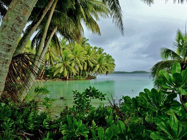 Palmyra Atoll

这座原始的...