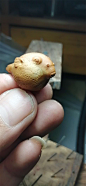易良华 核雕作品 | 石雀故事
