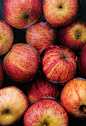 Free Vibrant red apples submerged in water, highlighting freshness and texture. Stock Photo
