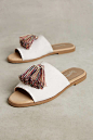 Seychelles San Juan Slide Sandals