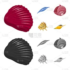 分离着色,动物,图标集,一个物体,鸡尾酒,自然,螺线,海产,装饰,收集