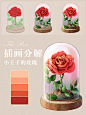 小物件插画分解丨小王子的玫瑰