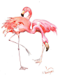 Two Flamingos, Original watercolor painting, 14 X 11 in, flamingo lover art, flamingo painting, pink flamingos: 