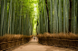 Kyoto by Tissou