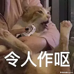 【图片】想要些和男朋友互动的表情包鸭_表情包吧_百度贴吧