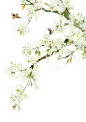 c9e80cc2eb92823dd3d134f689b687b982b856e4ec044-FCNa5H_fw658