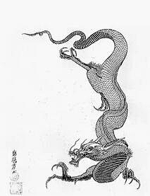 xLDJWfd3采集到笼