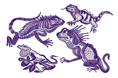 cashqiii采集到插画