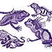 lizard reptile animal Drawing  инк Nature spot illustration Character design  creatures