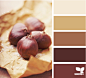 chestnut tones