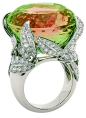 Van Cleef & Arpels' Arbre aux Songes ring with ... | $$$$$$GEMSTONE... by ana9112