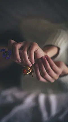 唯美手指摄影高清安卓手机壁纸图片