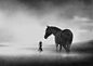 black and white horse Drawing  Digital Art  ILLUSTRATION  Procreate artwork digital illustration art digital