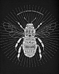 Selected illustrations on Behance