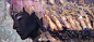 88f04e39ly1g7ng58n12kj21tz0u0x6z