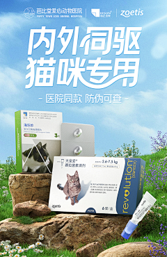 那只小羊采集到我的