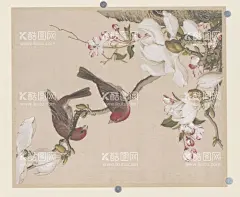 花鸟图     - 源文件下载【酷图网】花鸟图,花鸟画,喜鹊,锦春图,手绘,手绘花纹,工笔画,花鸟工笔画,花鸟,花纹,花朵,牡丹,郎世宁,国画,中国画,清朝生活,清朝宫廷画,清代宫廷画,庭院画,清朝场景,清代庭院,清代生活,清朝建筑,清朝山水画,