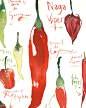 Red hot chili pepper print Red kitchen decor by lucileskitchen