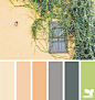 Design Seeds® | find your palette