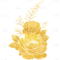 植物烫金花朵插画元素素材