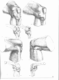 Gottfried Bammes - Die Gestalt Des Menschen - Anatomy & Visual Arts - 2-3 : Scribd is the world's largest social reading and publishing site.