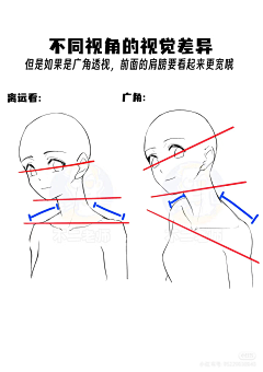 北冥扶风采集到女性人体结构
