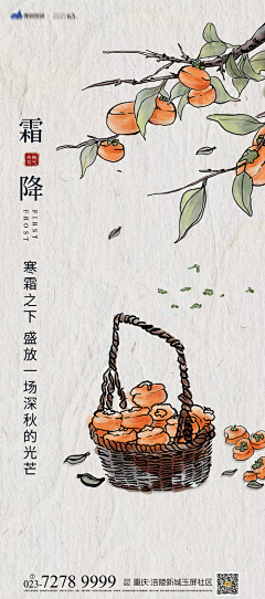 Bllxmox采集到霜降节气海报【源文件design006.com】