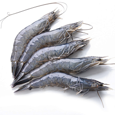 文莱进口 guolian 文莱有机蓝虾 50/60 300g 【品牌 价格 行情 评价