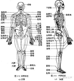 皆空ph采集到人